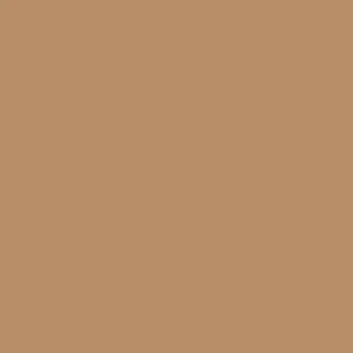 Buck Mid-Rise Brief