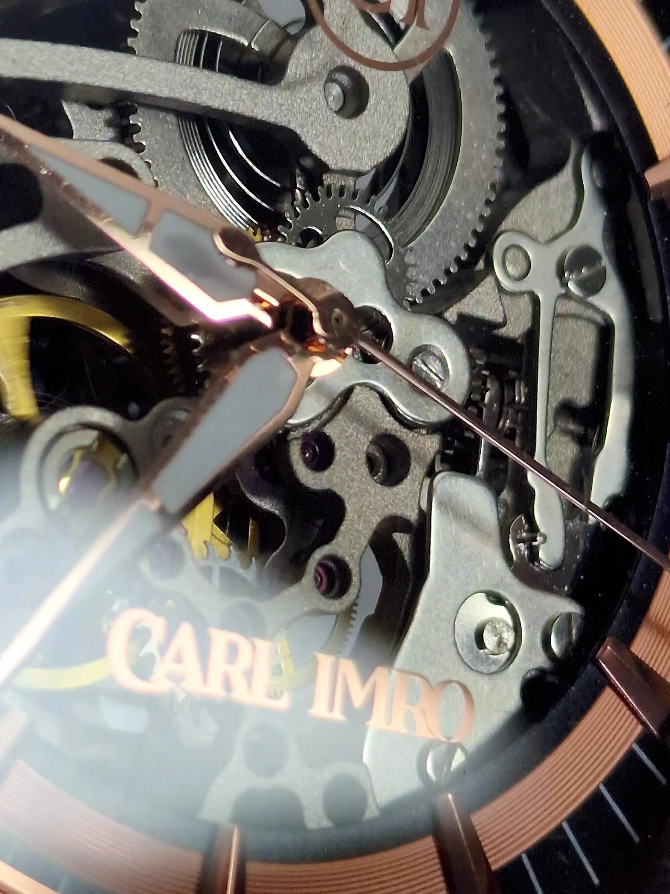 Carl Imro eSqueleto RZ Luxury Timepiece