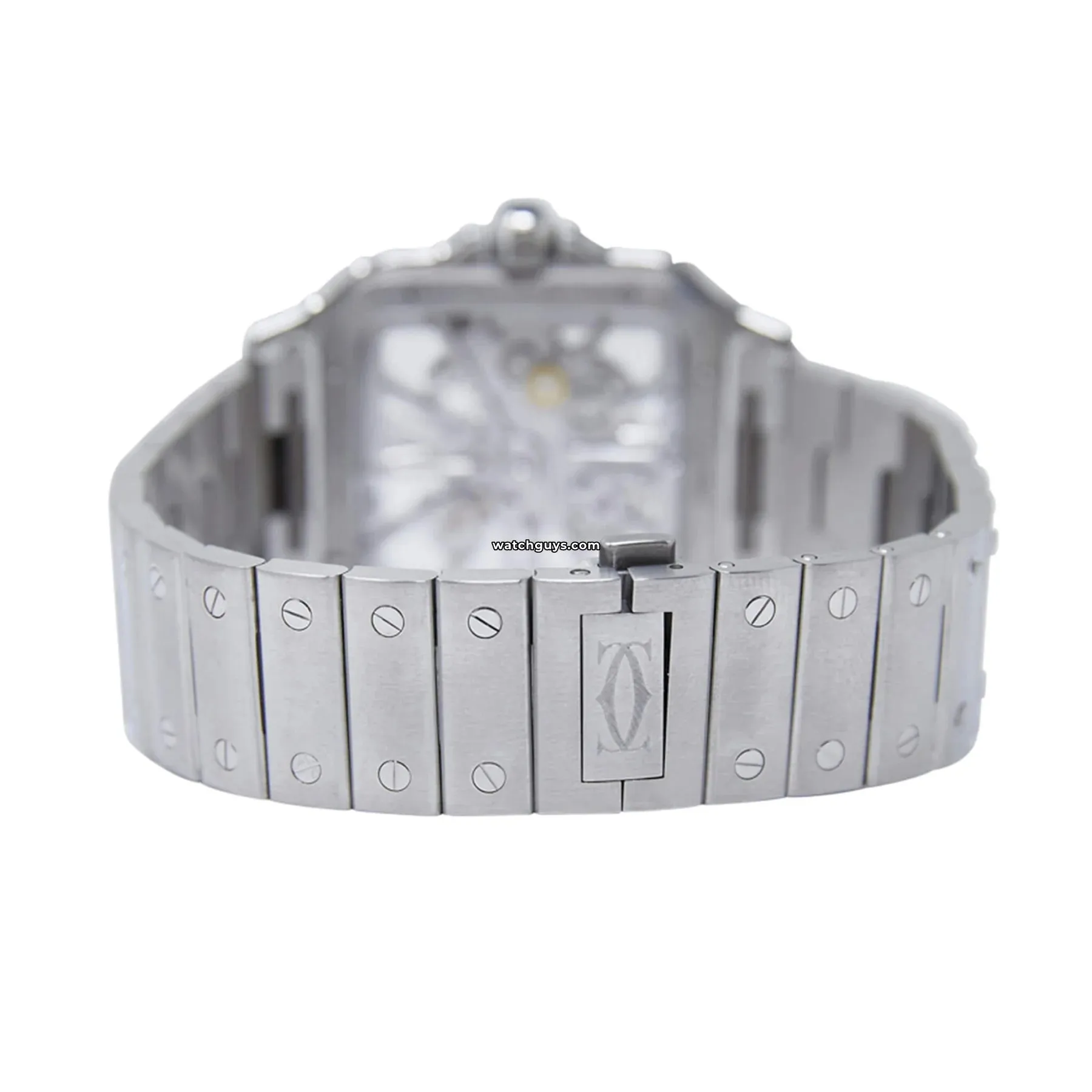 Cartier Santos Skeleton Large WHSA0015