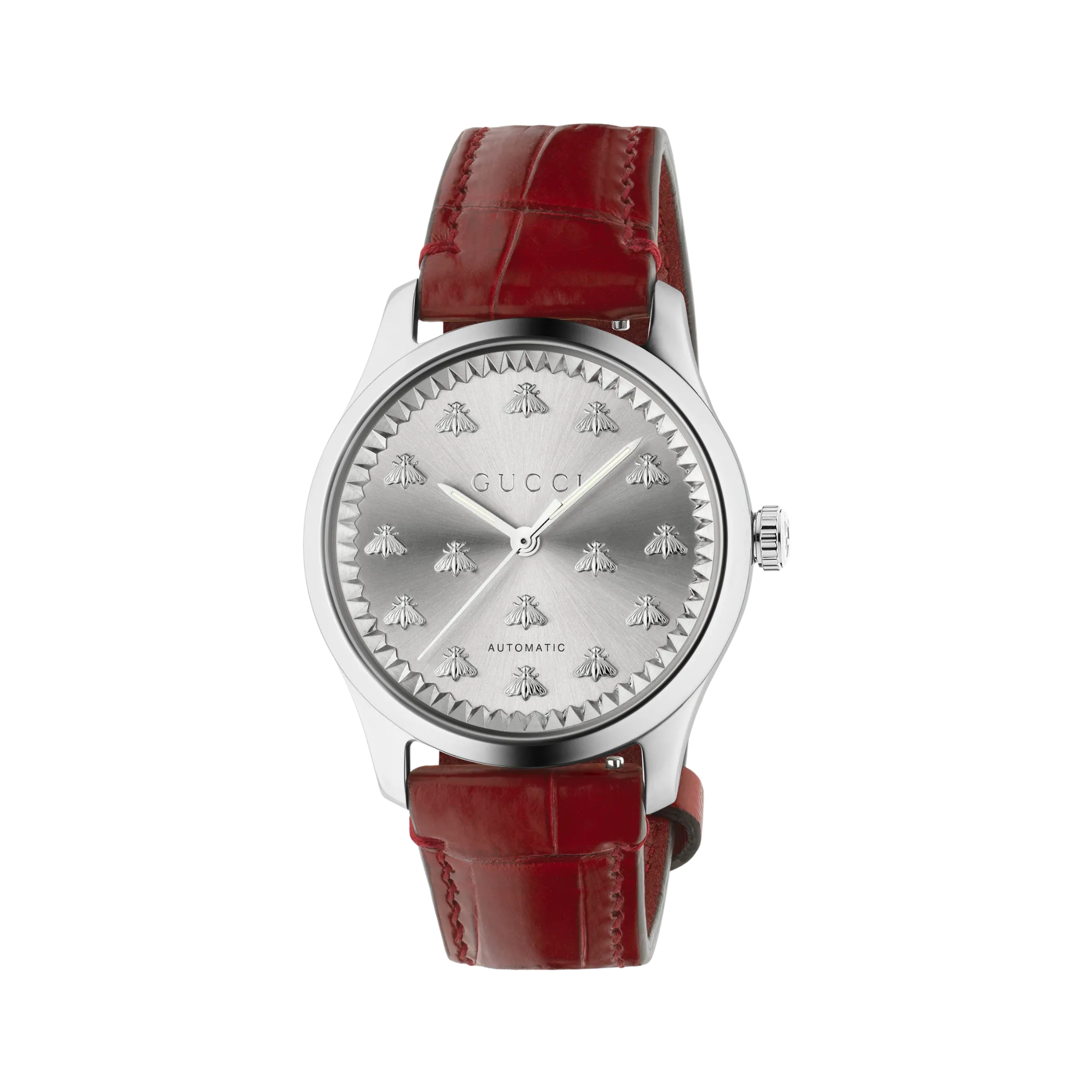 G-TIMELESS MULTIBEE