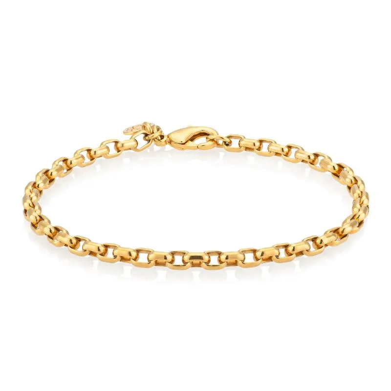 Luna Link - EMF Bracelet in 14-karat