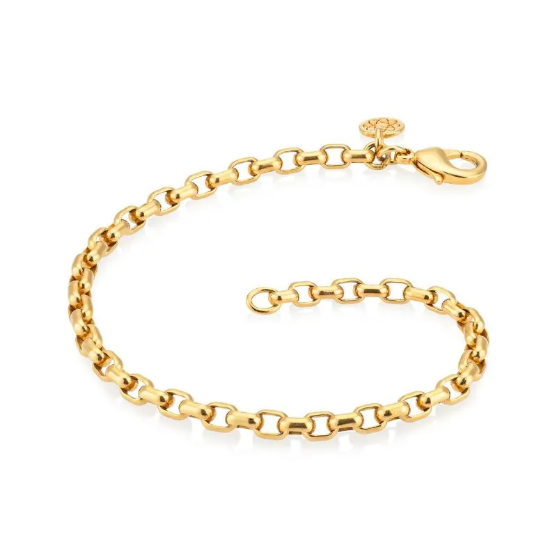 Luna Link - EMF Bracelet in 14-karat